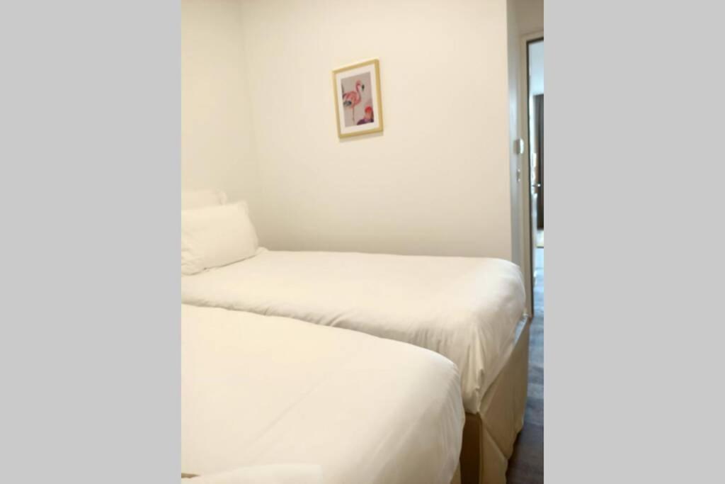 Appartement Montpellier Comedie Gare St Roch Eksteriør billede